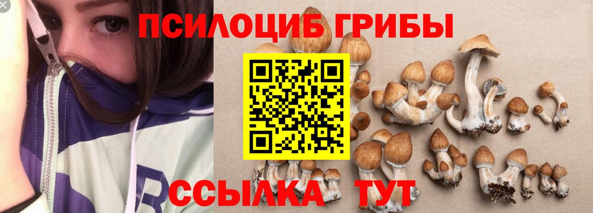 Фрязино  Псилоцибиновые грибы Magic Shrooms  Вход с VPN 