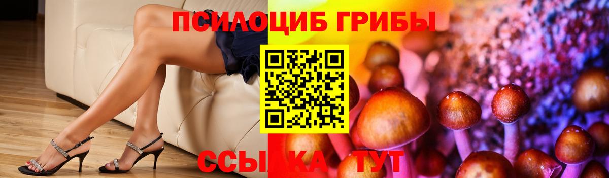 Псилоцибиновые грибы мухоморы Фрязино
